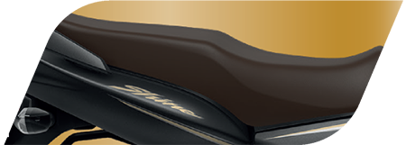 Planet Honda - Shine BS6 Premium_chrome_stroke_onsidecover